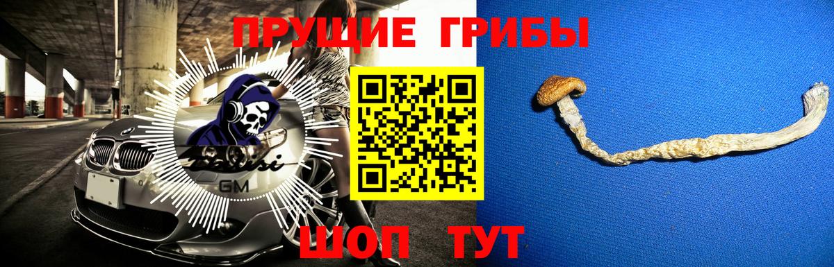 Геленджик  Галлюциногенные грибы Psilocybe  Вход с VPN 