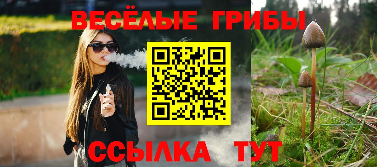 Галлюциногенные грибы прущие грибы Геленджик